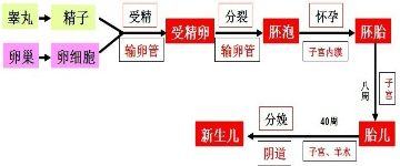 360优课网