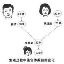 360优课网