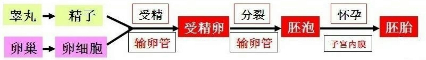 360优课网