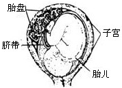 360优课网
