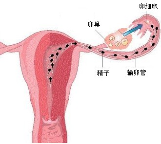 360优课网