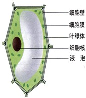 360优课网