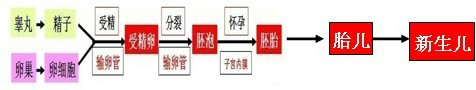 360优课网