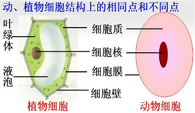 360优课网
