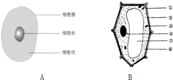 360优课网