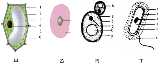 360优课网
