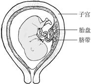 360优课网