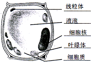 360优课网