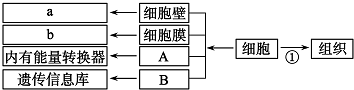 360优课网