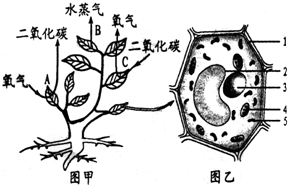 360优课网