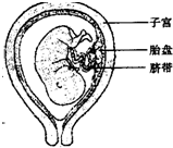 360优课网