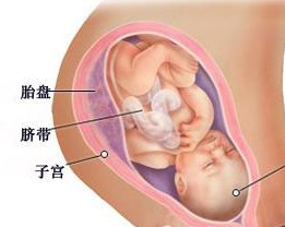360优课网