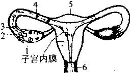 360优课网