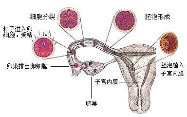 360优课网