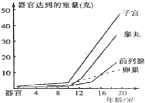 360优课网