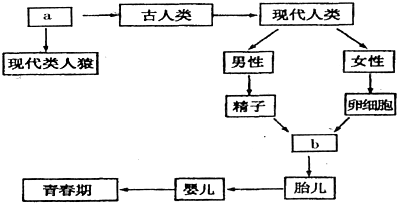360优课网