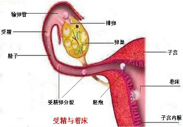 360优课网