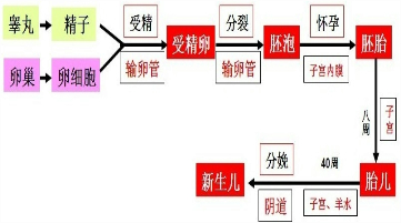 360优课网
