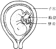 360优课网