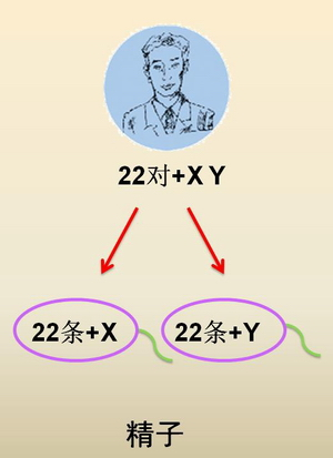 360优课网