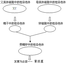 360优课网