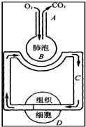360优课网