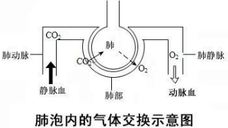 360优课网