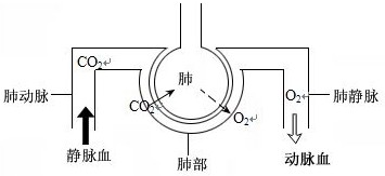 360优课网