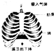 360优课网