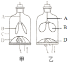 360优课网