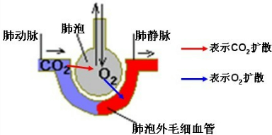 360优课网