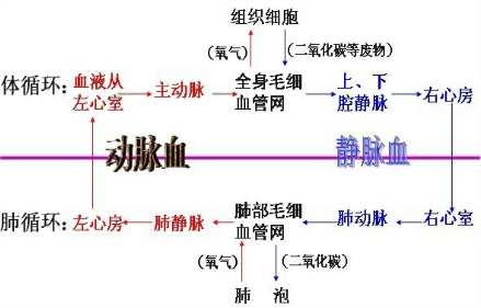 360优课网