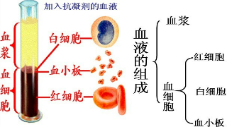 360优课网