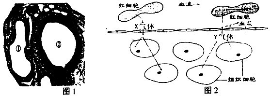 360优课网