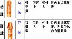 360优课网