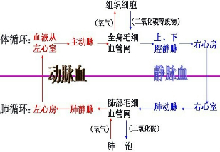 360优课网