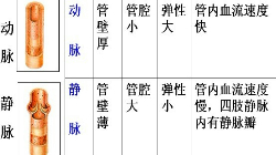 360优课网