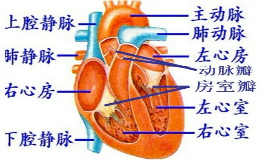 360优课网