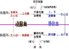 360优课网