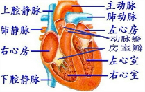 360优课网