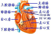 360优课网
