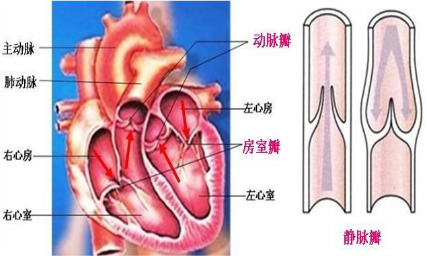 360优课网