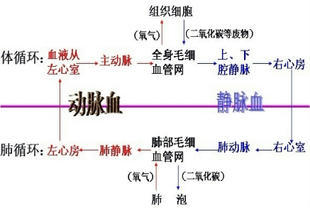 360优课网