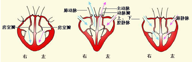 360优课网