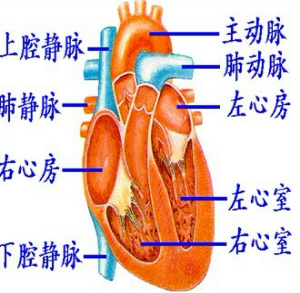 360优课网