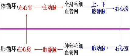 360优课网