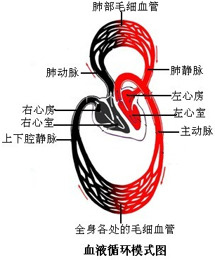 360优课网