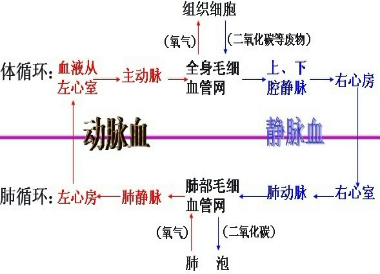360优课网