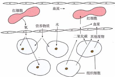 360优课网