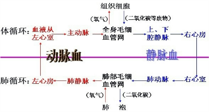 360优课网